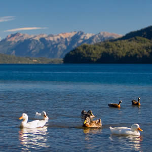 San Martín de los Andes